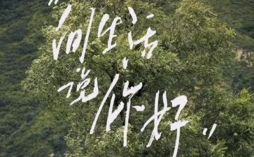 2024年你好作文模板8篇