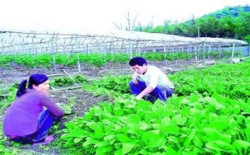 农技培训的心得体会7篇
