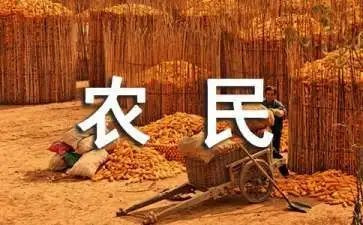 农民节活动方案7篇