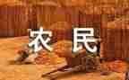 农民节活动方案7篇