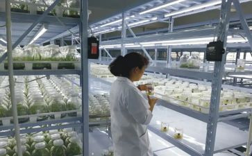 优秀孩子培养心得7篇