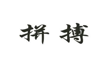 拼来的精彩素材作文6篇