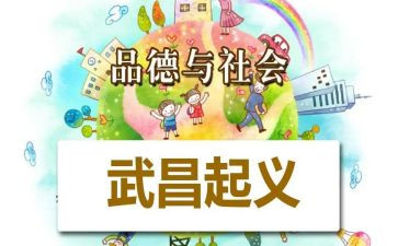 食品社会调查报告7篇