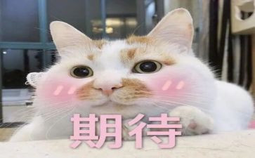 我期待的作文5篇