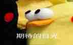 我在期待作文7篇