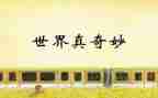 奇奇妙妙的人作文优秀7篇