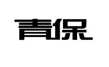 青保活动总结范文5篇