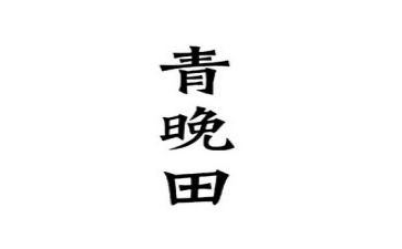 网络青晚观后感6篇