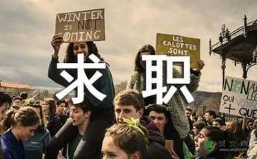 个人简历求职模板8篇