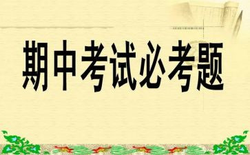 期中个人总结通用5篇