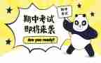 期中考试后的感想作文300字7篇