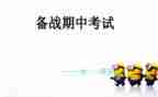 写期中总结的作文7篇