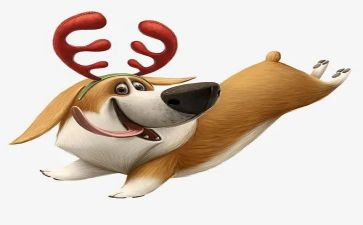 警犬拉拉读后感6篇