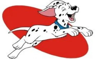 犬只工作工作计划8篇