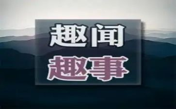 家庭趣事作文500作文7篇