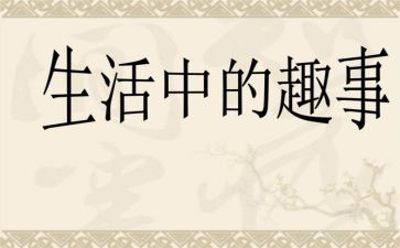 春节趣事的作文500字8篇