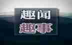 家庭趣事作文500作文7篇