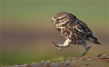 大学趣味活动策划最新6篇