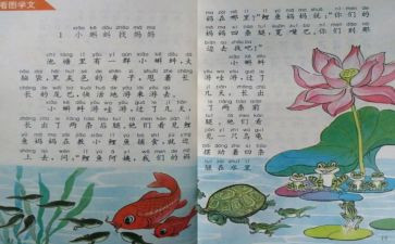 期末个人教学总结范文8篇