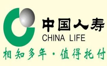 中国人寿经理述职报告6篇