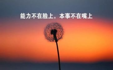 公司拓展训练个人心得体会6篇