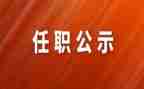 教师现任职以来的述职报告5篇