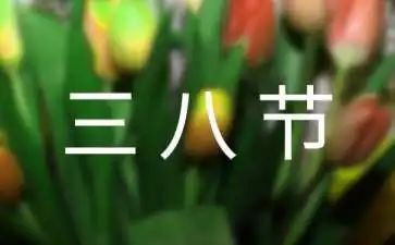 三八演讲稿优质6篇