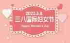 村三八妇女节活动总结5篇