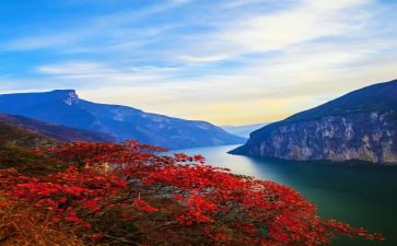 读三峡的读后感7篇