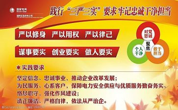 三严三实活动总结5篇