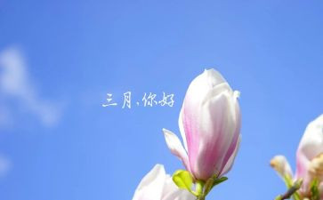 三月份大班工作总结7篇