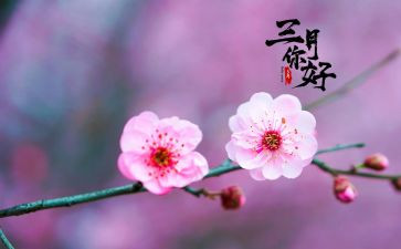 三月3作文600字7篇