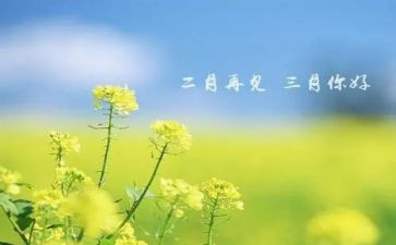 三月学雷锋心得体会8篇
