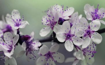 三月份工作总结推荐5篇