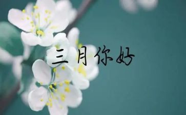 三月份工作总结参考8篇