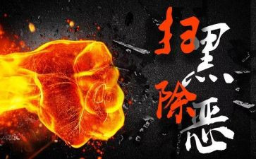 村扫黑除恶月总结通用6篇