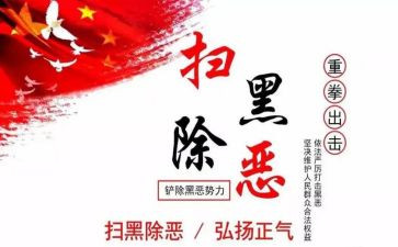 扫黑办2024工作计划8篇