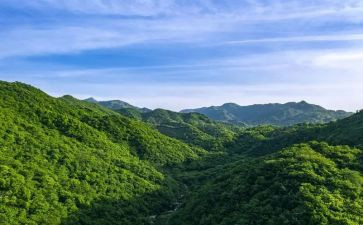 山鬼读后感心得体会最新5篇