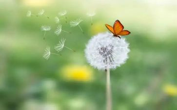 关于有善的作文500字8篇