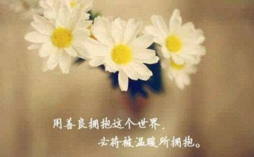 善良的心作文500字精选6篇