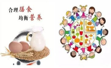 合理膳食工作计划8篇