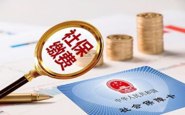2024年社保工作总结范文8篇