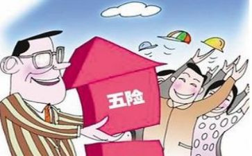 社保卡工作计划8篇