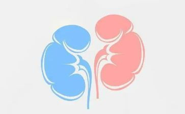 肾内科医生个人总结优质5篇