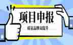 职称申报个人述职报告7篇
