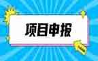 小学教师职称申报专业技术工作总结5篇
