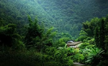 心灵深处的_______作文7篇