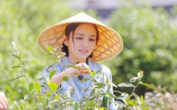 生活组工作总结优质7篇