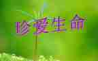 珍爱生命的作文推荐6篇