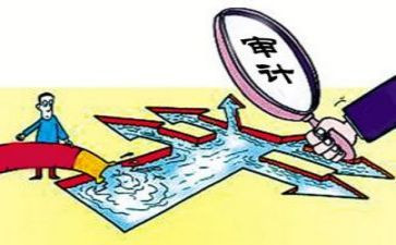 审计员2024度述职报告最新7篇